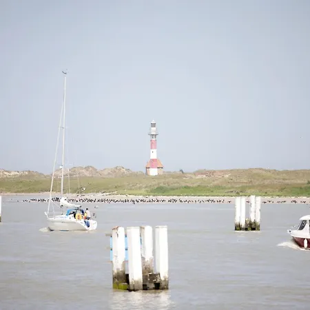 Near Sandy Beaches Nieuwpoort